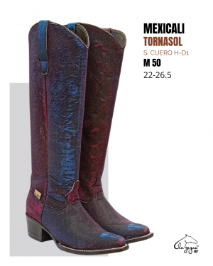 Z P.Único Mexicali Tornasol S. Cuero H-D1